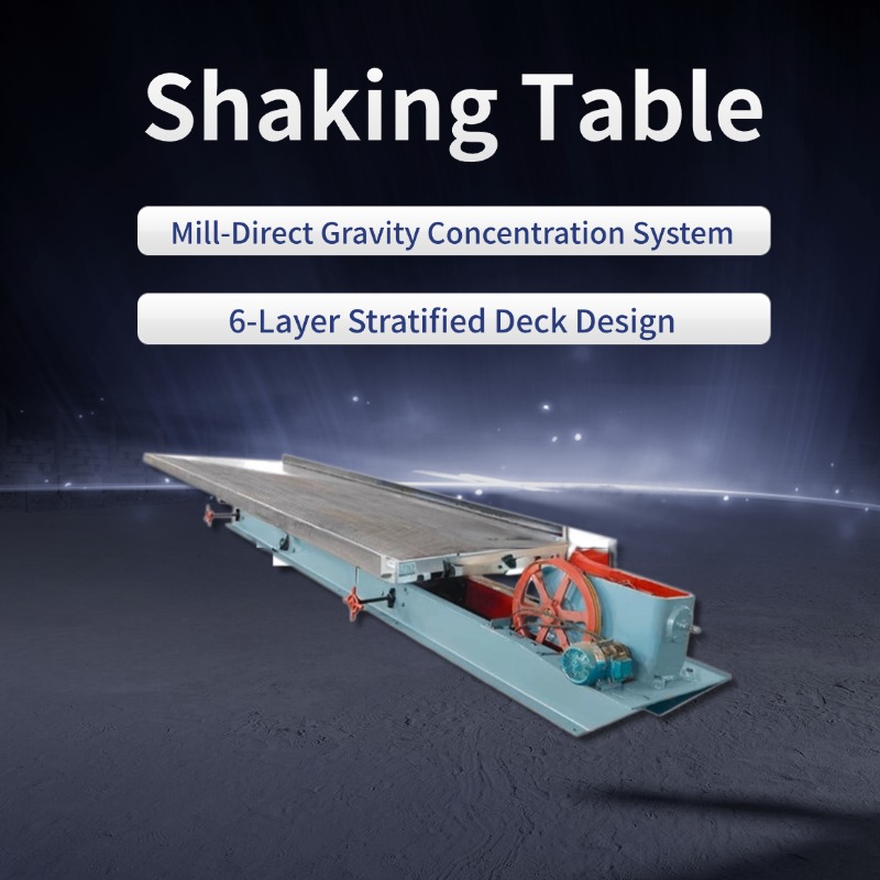Shaking Table