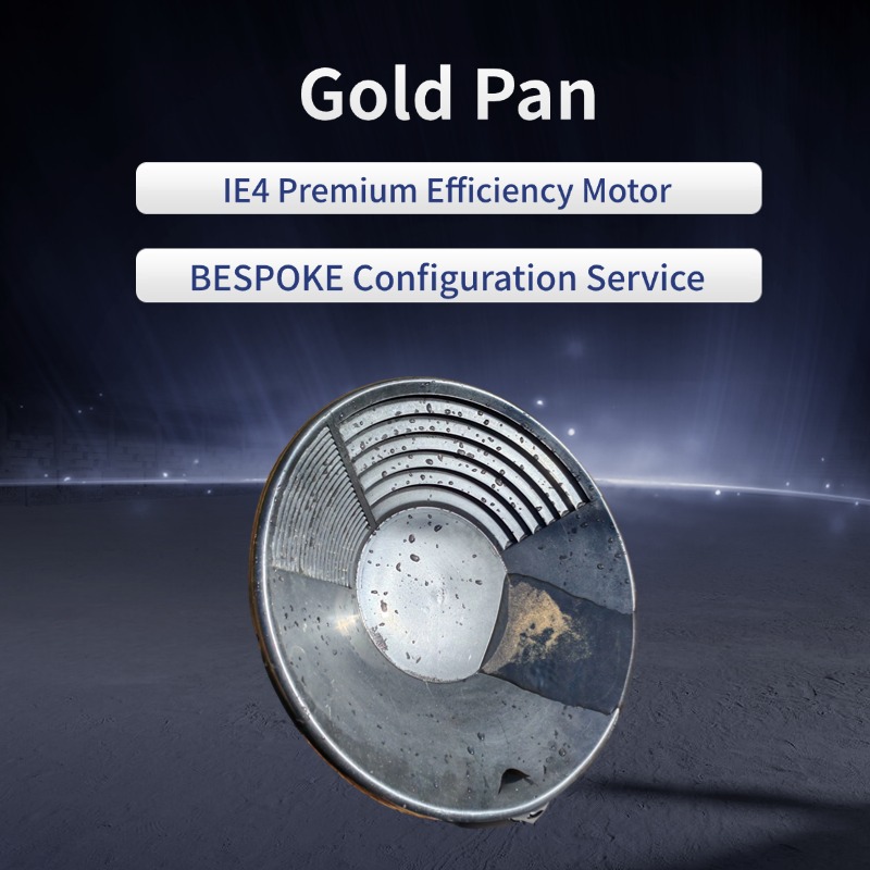 Gold Pan